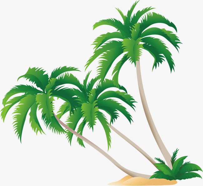 Coconut Tree Vector At Vectorified.com | Collection Of Coconut Tree ...