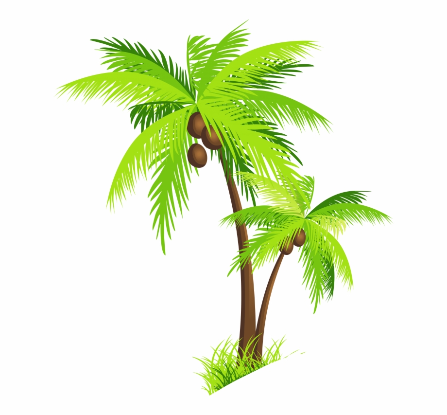 920x853 Palm Tree Beach Images Png Image