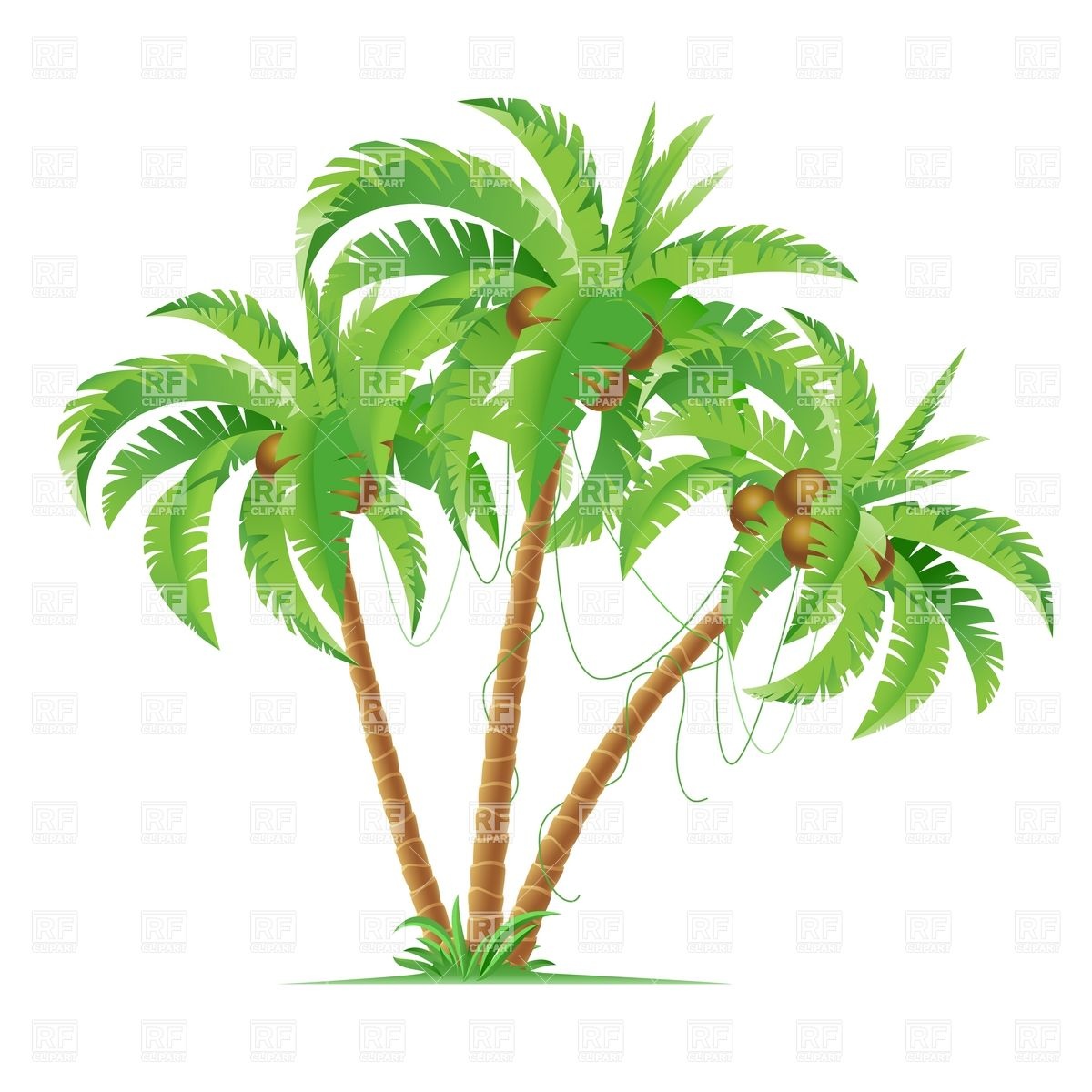 Coconut Tree Vector at Collection of Coconut Tree