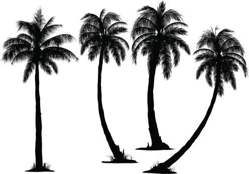 496x346 Coconut Tree Vector Tattoo Inspirations