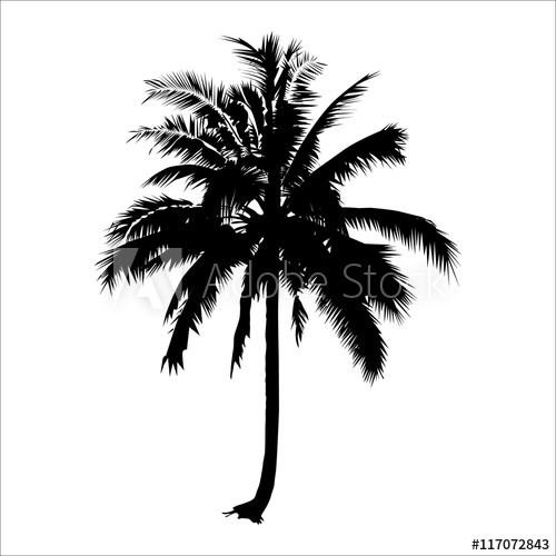500x500 Silhouette Coconut Tree Vector Logo Design Isolated Natural