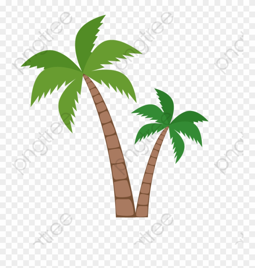 880x927 Coconut Tree Green