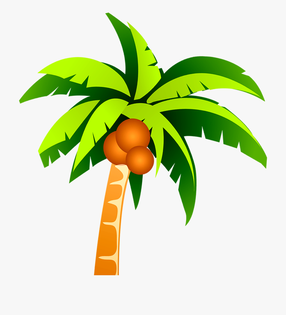 920x1014 Coconut Tree Png