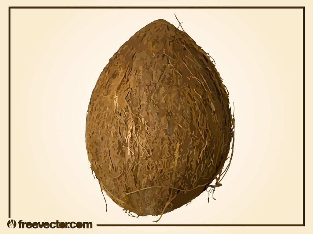 1024x765 Coconut Vector Vector Art Graphics