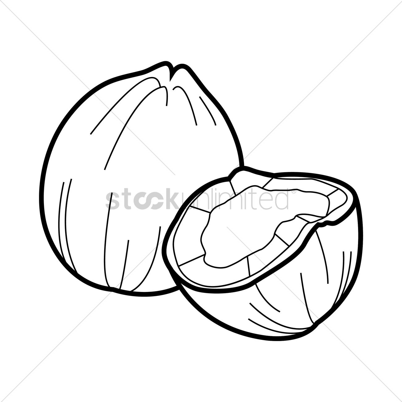 1300x1300 Coconut Vector Image