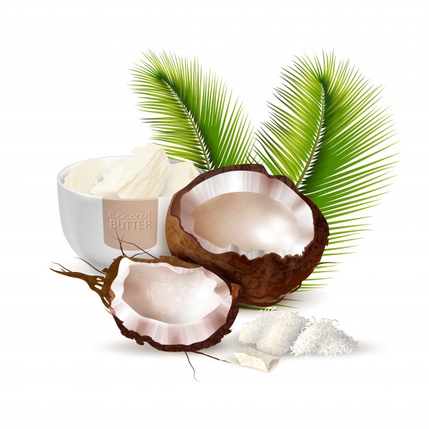 626x626 Coconut Vectors, Photos And Free Download