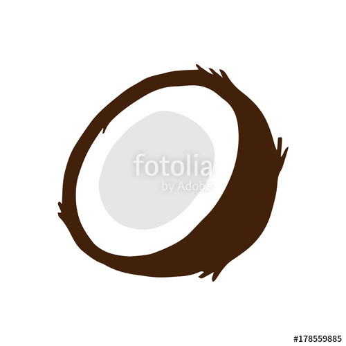 500x500 Coconut Vector Illustration Drawing, Coconut Cut In Half Isolated