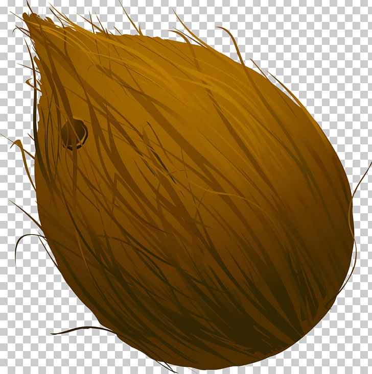 728x733 Coconut Designer Png, Clipart, Coconut, Coconut Tree, Coconut