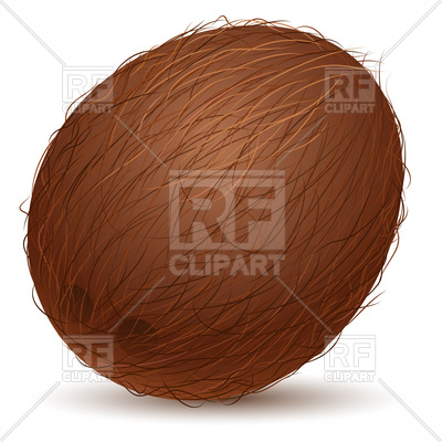 400x400 Whole Coconut Vector Image Of Food And Beverages Dvarg