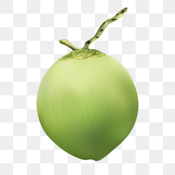 360x360 Coconut Vector, Free Download Coconut Leaves, Coconut Oil, Coconut