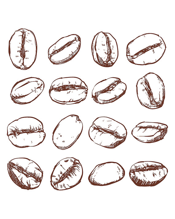Coffee Bean Vector