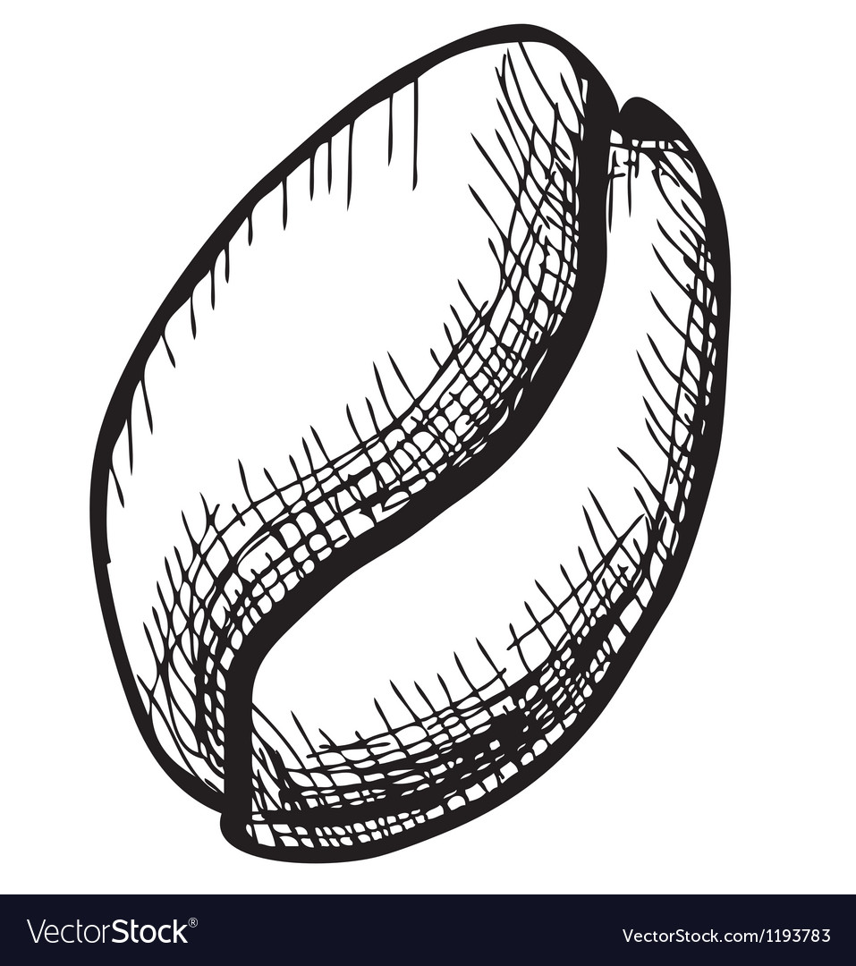 Coffee Bean Vector Png Images In Collection 957x1080 Coffee Bean Vector Png Images In Collection