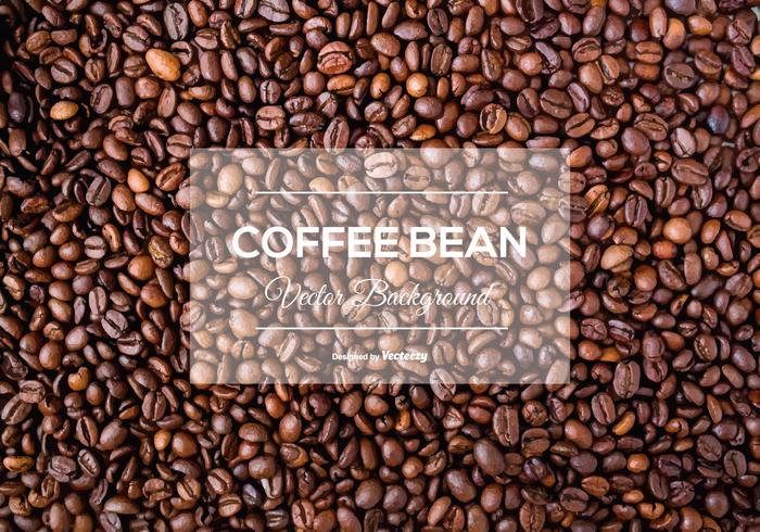 Coffee Beans Free Vector Art 700x490 Coffee Beans Free Vector Art