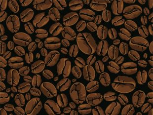 310x233 Coffee Beans Vector Free Vectors Ui Download