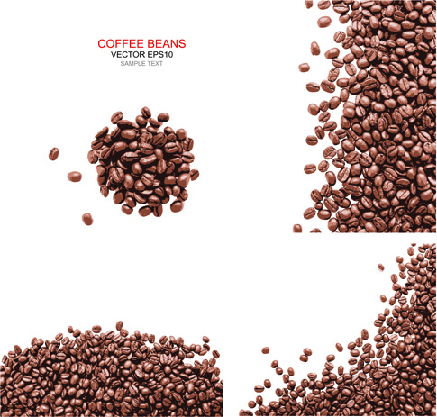 485x463 Coffee Beans With White Background Vector Free Vector