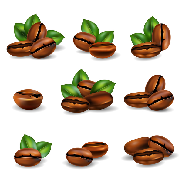 600x600 Coffee Beans Set Realistic Vector Free Download