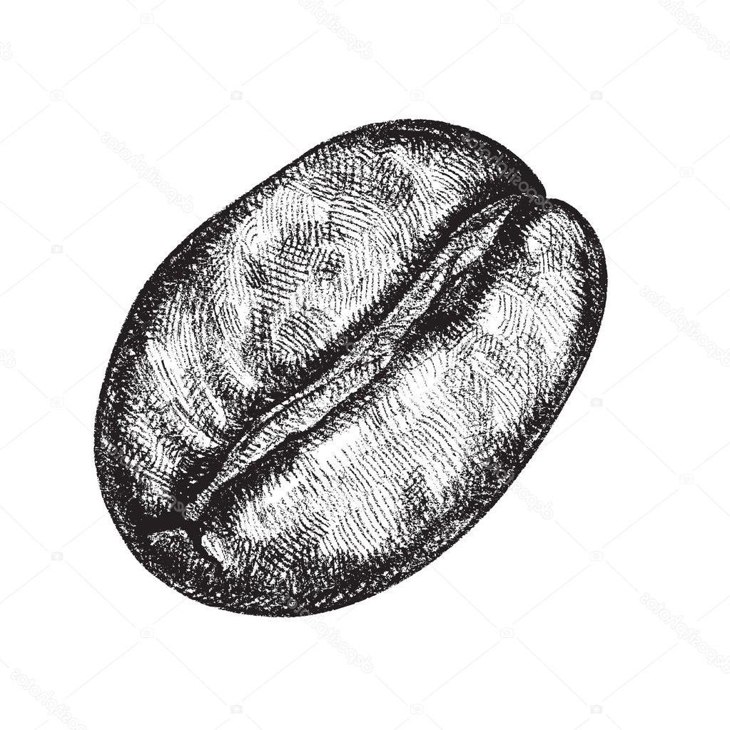 coffee bean drawing