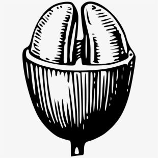 310x310 Free Coffee Bean Clipart Black And White Cliparts, Silhouettes