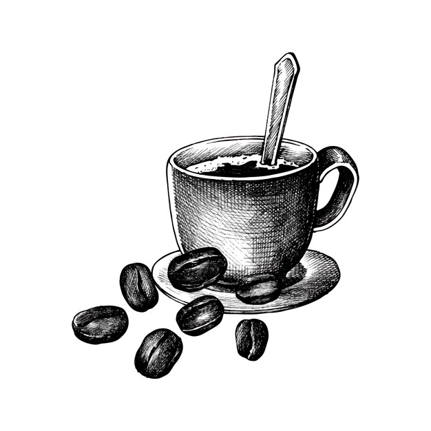 626x626 Hand Drawm Coffee And Coffee Bean Vector Free Download