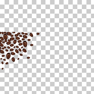 Coffee Bean Vector Png