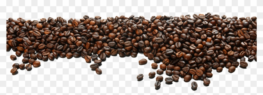 840x306 Coffee Bean Vector Png, Transparent Png