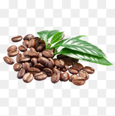 399x401 Download Free Png Coffee Beans Png Images Vectors