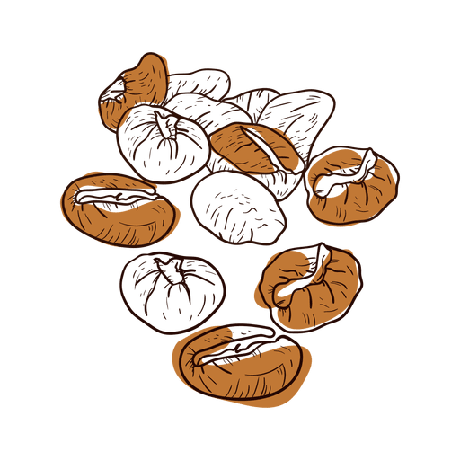 512x512 Hand Drawn Coffee Beans