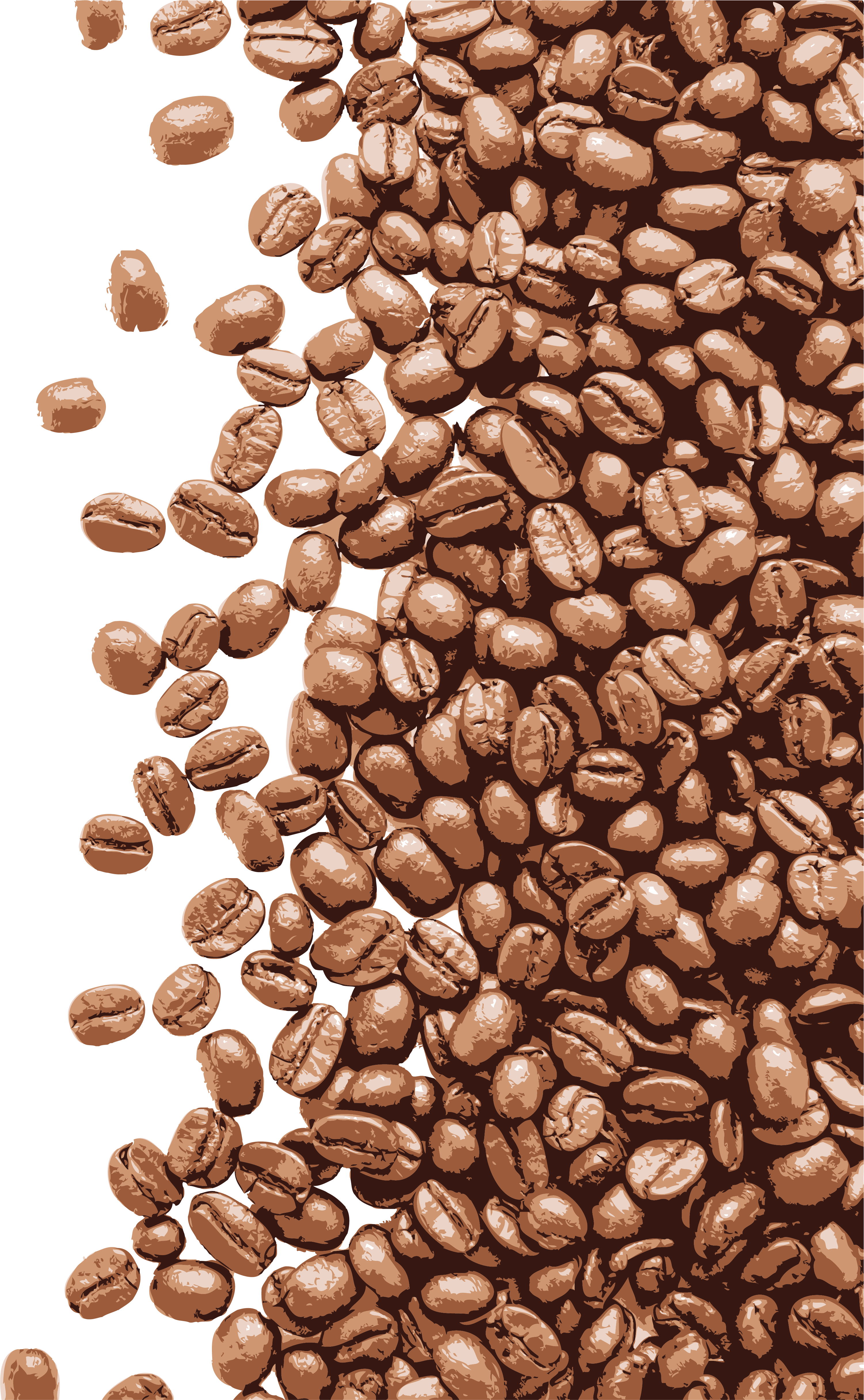 Download Coffee Bean Vector Png at Vectorified.com | Collection of ...