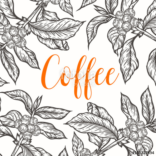 500x500 Organic Coffee Leaf, Bean Vector Hand Drawn Template Packaging