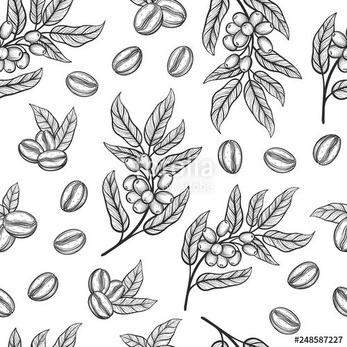 500x500 Seamless Pattern With Coffee Tree Branches With Leaves And Beans