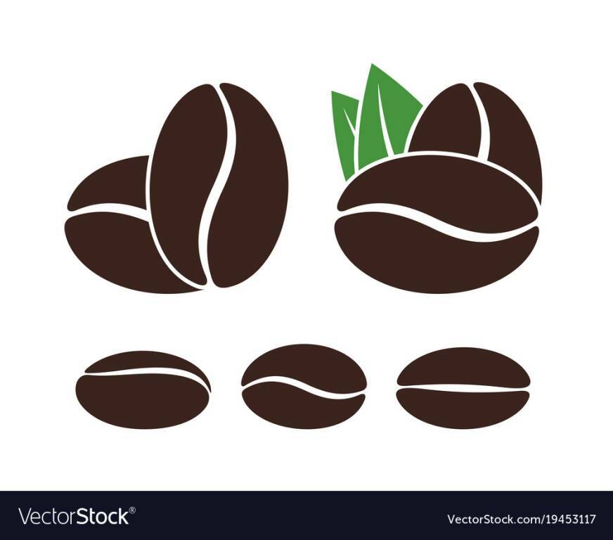 872x768 Coffee Bean And Tea Leaf Vector Free Download Tiposdepavimentos Gq