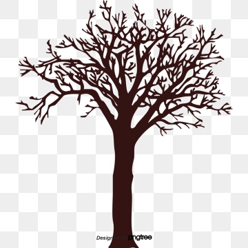 Coffee Tree Png, Vector, And Clipart With Transparent 360x360 Coffee Tree Png, Vector, And Clipart With Transparent