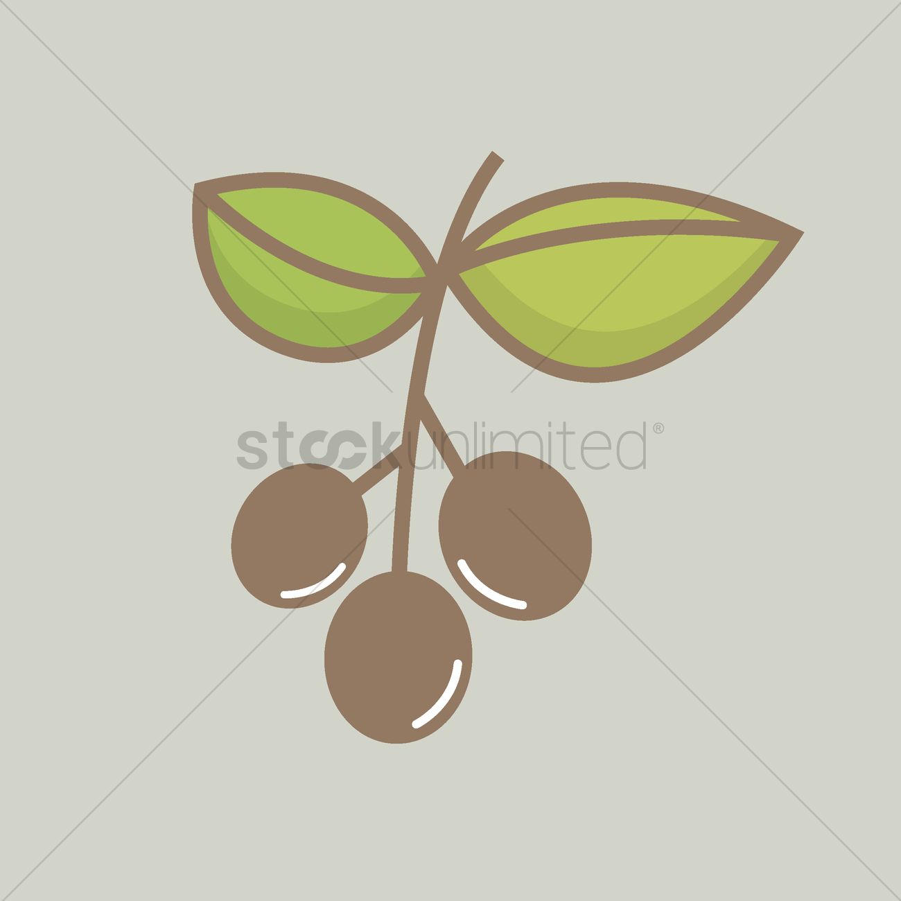 Coffee Plant Vector Image 1300x1300 Coffee Plant Vector Image