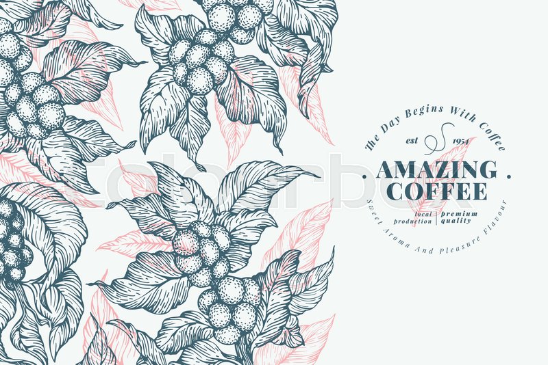 Coffee Tree Banner Template Vector Stock Vector Colourbox 800x534 Coffee Tree Banner Template Vector Stock Vector Colourbox