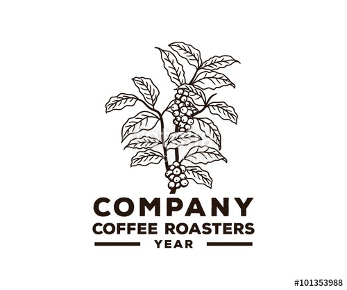 Coffee Plant Illustration Free - Illustration of Many Recent Choices