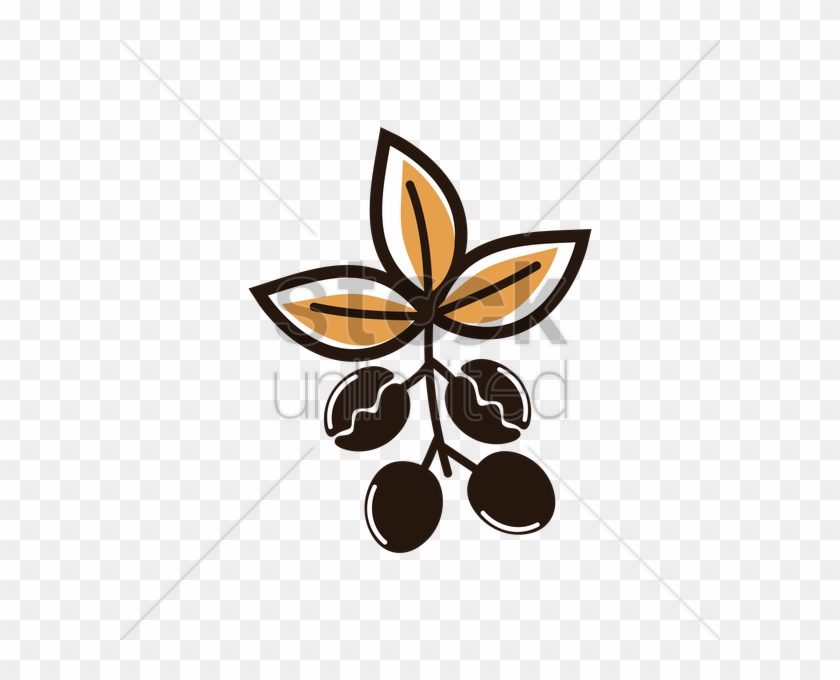 Coffee Plant Clipart Vector Png 840x680 Coffee Plant Clipart Vector Png