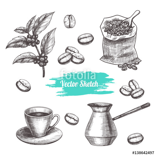 500x500 Vector Coffee Hand Drawn Sketch Sketch Vector Food Illustration
