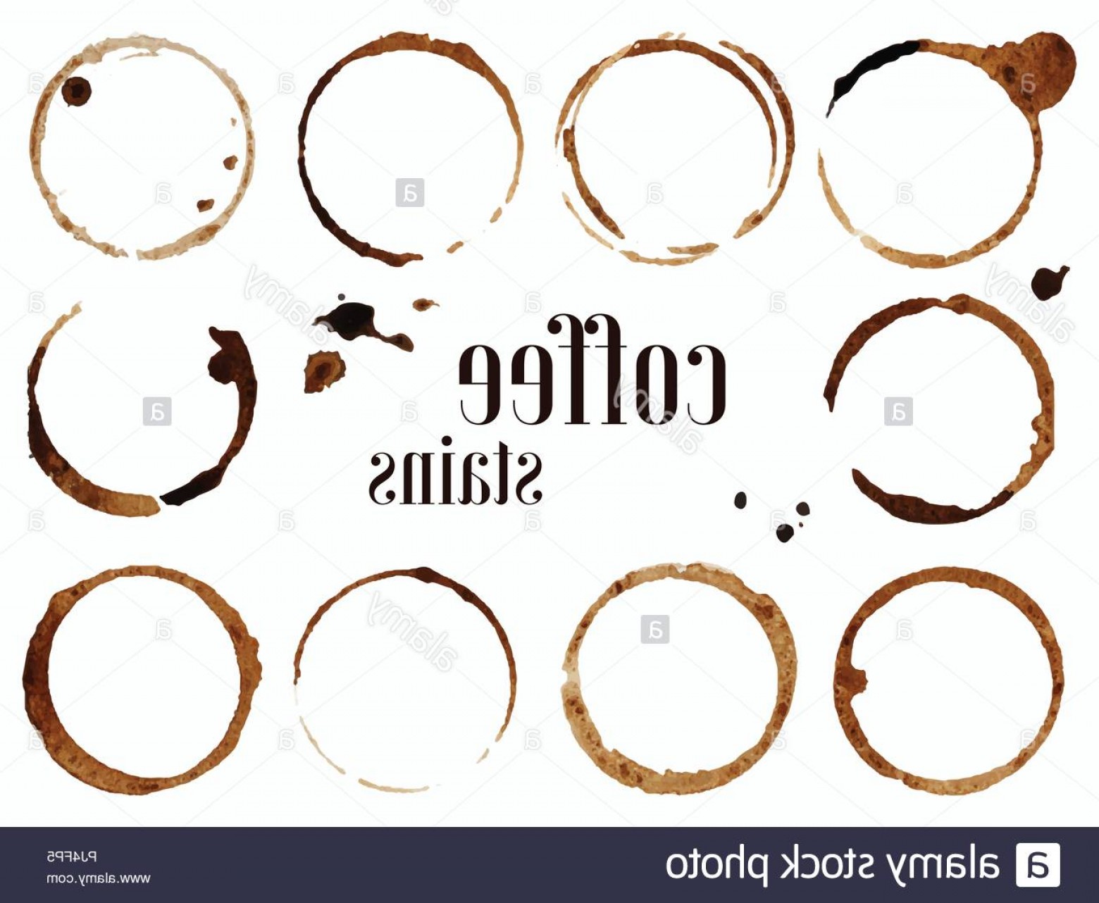 1560x1282 Coffee Stains Vector Illustration Isolated On White Background