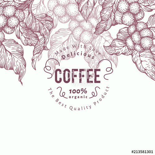 500x500 Coffee Tree Banner Template Vector Illustration Vintage Coffee