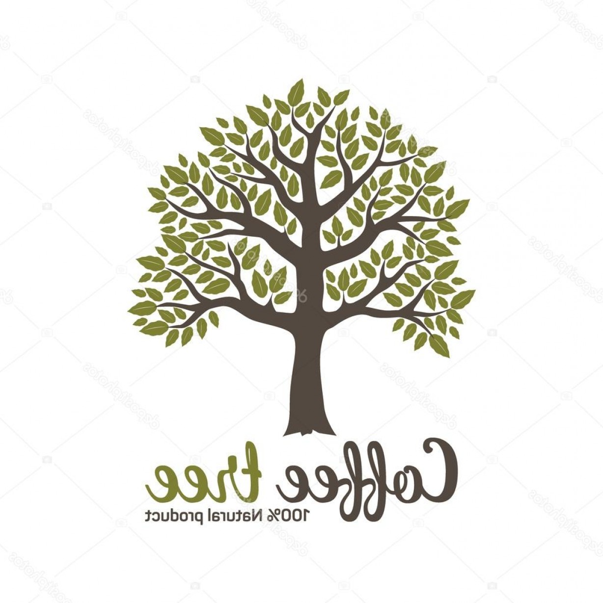 1228x1228 Stock Illustration Hand Drawn Graphic Coffee Tree Createmepink