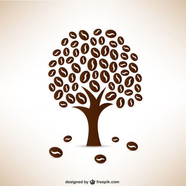 626x626 Coffee Beans Tree Vector Free Download
