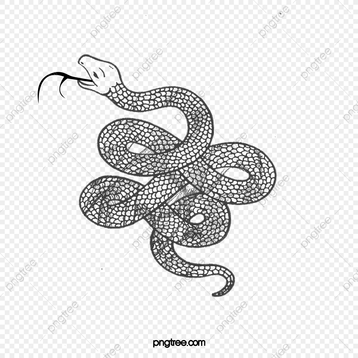 1200x1200 Coiled Snake, Snake Clipart, Vector, Magic Png And Vector