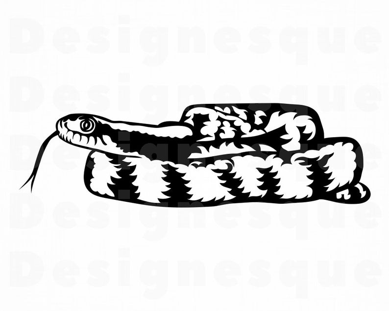 794x635 Coiled Snake Snake Logo Snake Snake Clipart Etsy