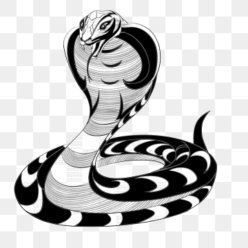360x360 Coiled Snake Png Images Vector And Free Download