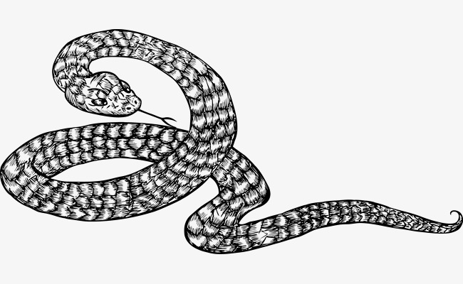 650x400 Download Free Png Coiled Snake, Vector, Magic