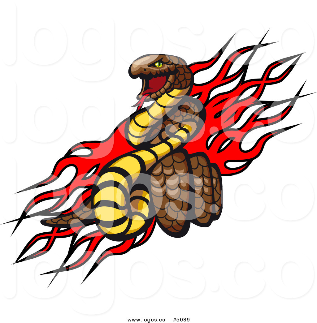 Coiled Snake Vector At Vectorified.com 