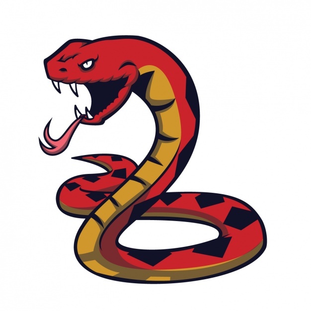 626x626 Snake Vectors, Photos And Free Download