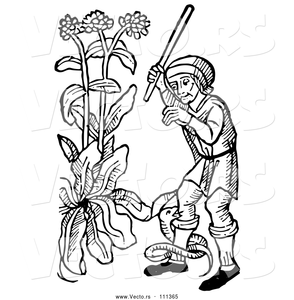 1024x1044 Vector Of Black And White Woodcut Medieval Guy Swinging