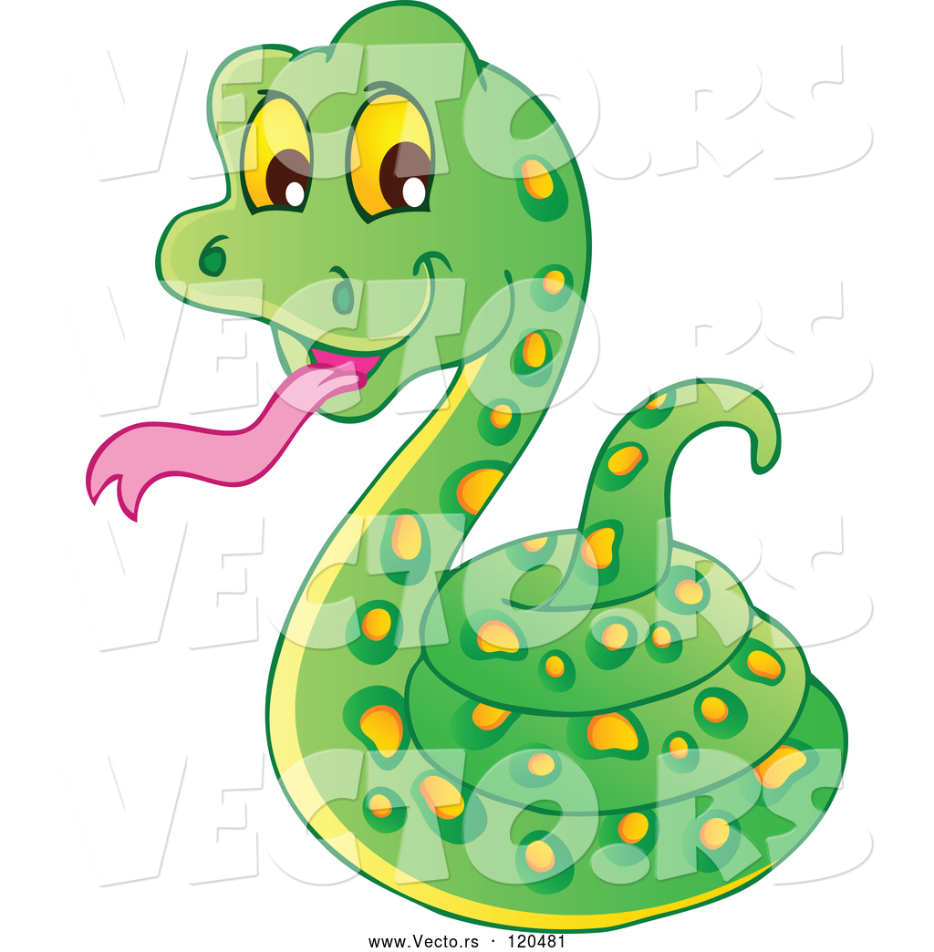 1024x1044 Vector Of Cartoon Coiled Green Snake