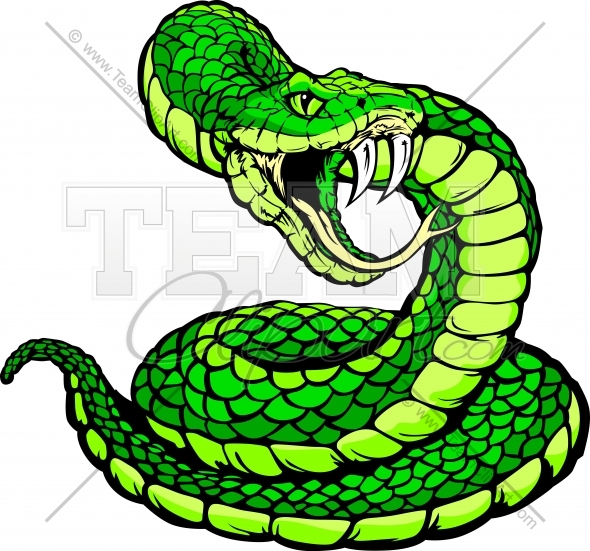 590x551 Viper Or Coiled Snake Body Vector Clipart Image